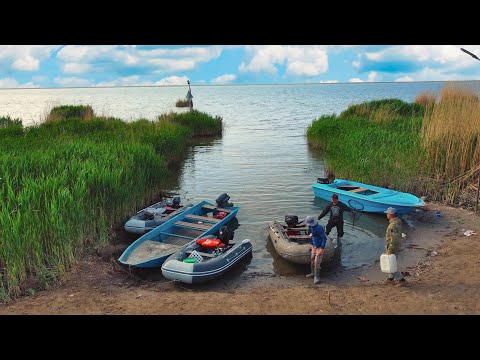 Видео: ОПЯТЬ КРУПНЯК НА ПОСТАВУШКИ! ТРОФЕЙНАЯ РЫБАЛКА! Секрет ловли Сазана