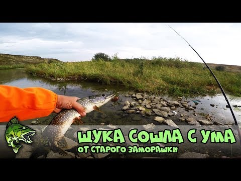 Видео: Рыбалка на Егорлыкском канале и чаше(Дюкер)