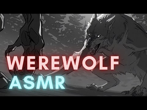 Видео: Два оборотня дерутся за тебя! Сага продолжается… ASMR Boyfriend [M4F/M4A]