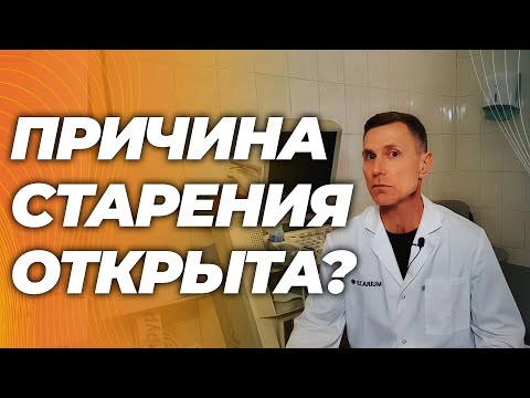 Видео: Причина старения та же самая, что и причина хорошего здоровья в молодости
