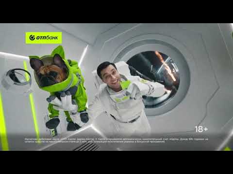 Видео: Домашний Санкт Петербург Местный рекламный блок 12 08 2025