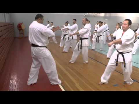 Видео: Сборы Артура Ованесяна в Перми 31.01.2014-01.02.2014 (второй день - старший поток)