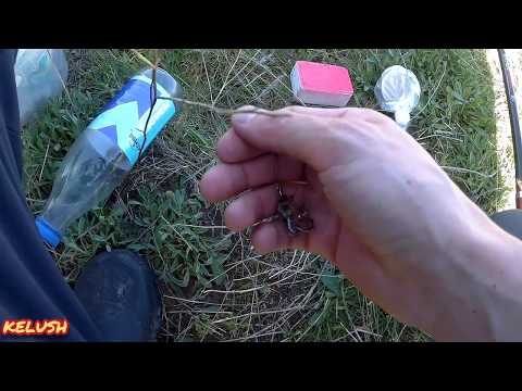 Видео: РЕКА АШИТ