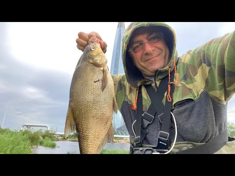 Видео: Рыбалка на фидер, ловил леща и карасей в Санкт-Петербурге