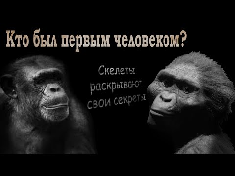 Видео: Эволюция человека: кто был предком Homo sapiens? | История человечества | Познавательное видео