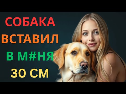 Видео: 🐕 Моя собака превращается в нежного защитника, когда мужа нет рядом ❤️