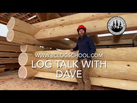 Видео: Как построить бревенчатый дом: изготовление седел для вашего дома из цельного бруса #cabinbuild #...