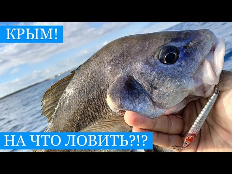 Видео: Баракури, пилькера, стрейч - или натуральная наживка? Осенняя рыбалка в Севастополе!