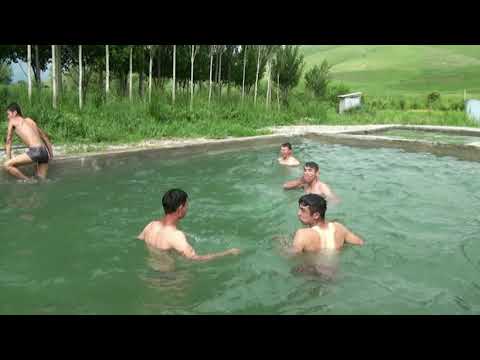 Видео: Аксы жергетал 11-а класс окуучулук кайыгым