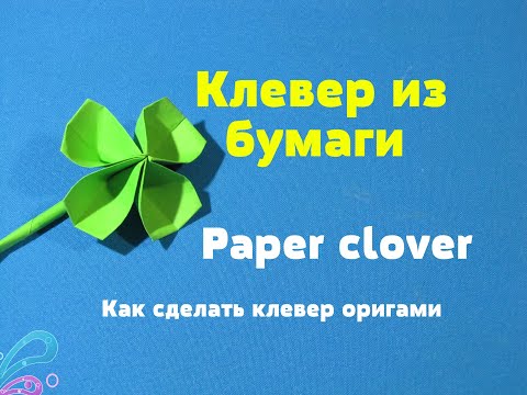 Видео: Клевер. Clover