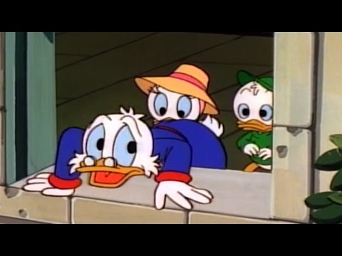 Видео: Утиные Истории - Любимец Скруджа | Мультфильм | Все серии