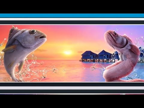 Видео: Fishing clash "Люта пара загадкових на Мальдівах"  початок , клан "ДОМИНИАНА" 12.11.25.