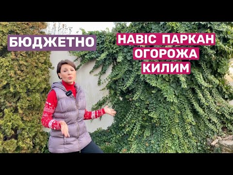 Видео: ВІЧНОЗЕЛЕНИЙ навіс, паркан, огорожа, килим- обирай!