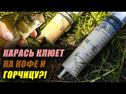Видео: КАРАСЬ СХОДИТ С УМА от запаха КОФЕ и ГОРЧИЦЫ?! Сделал 2 БОЛТУШКИ, и СРАВНИЛ их на РЫБАЛКЕ