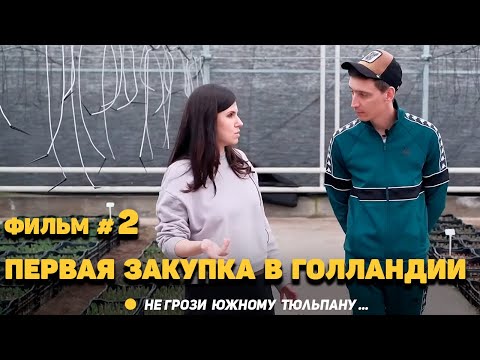 Видео: Первые 3 года не получалось - или как начался большой цветочный бизнес