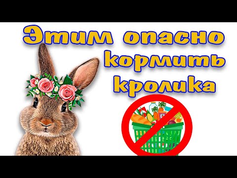 Видео: Чем кормить кролика нельзя ни в коем случае