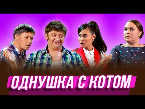 Видео: Однушка с котом — Уральские Пельмени | Будьте бобры