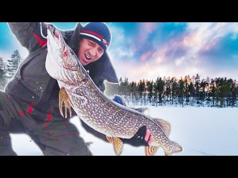 Видео: РЕКОРД на ЗИМНЕЙ РЫБАЛКИ!!! МЫ ТЯНУЛИ её ВТРОЁМ ***