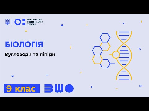 Видео: 9 клас. Біологія. Вуглеводи та ліпіди