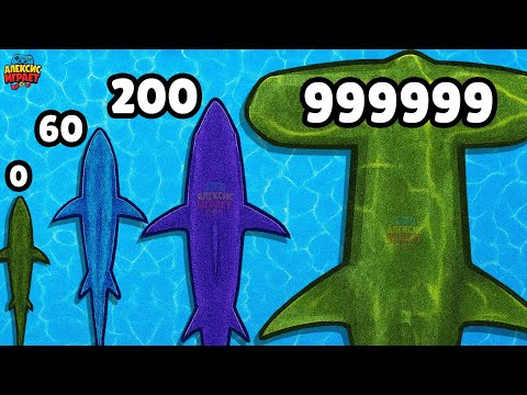 Видео: ТАКИХ АКУЛ ТЫ ЕЩЕ ТОЧНО НЕ ВИДЕЛ, БИТВА НА ВОДЕ Merge Sharks