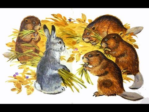 Видео: ЛИСТОПАДНИЧЕК. И.С. Соколов-Микитов. Сказка