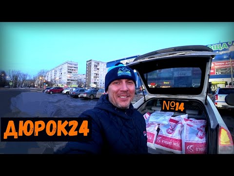 Видео: №14 Разборные клетки для свиноматок/Встреча с представителем Алтайский животновод(премикса PigСтрим)