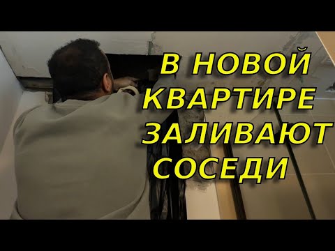 Видео: Нас затопили соседи в Германии. Кто будет платить за ущерб?