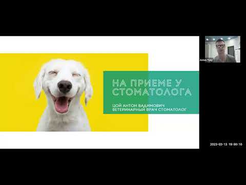 Видео: На приёме у врача стоматолога СД Цой А В