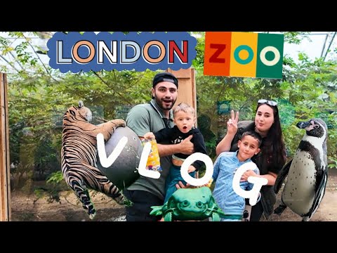 Видео: VLOG : LONDON ZOO // ПИНГВИН  СХВАТИЛ КАМЕРУ 😱🐧// НАШ ВЫХОДНОЙ // 🇬🇧