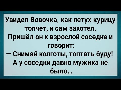 Видео: Как Вовочка Взрослую Соседку Топтал! Сборник Свежих Анекдотов! Юмор!.