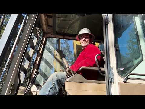 Видео: Городская лесозаготовка