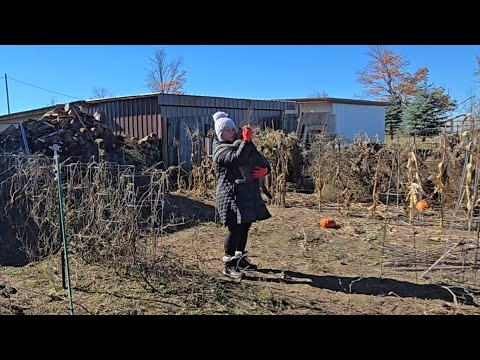 Видео: НИКТО НЕ ХОЧЕТ МНЕ ПОМОГАТЬ. РАБОТАЮ В ОГОРОДЕ  