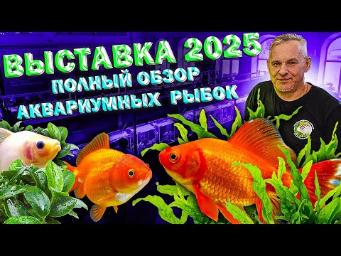 Видео: Выставка 2025 Подробный обзор аквариумных рыбок и акваскейпов