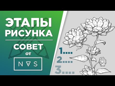 Видео: Этапы рисунка. Как рисовать наброски?