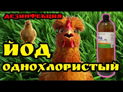 Видео: Дезинфекция курятника ЙОДОМ однохлористым