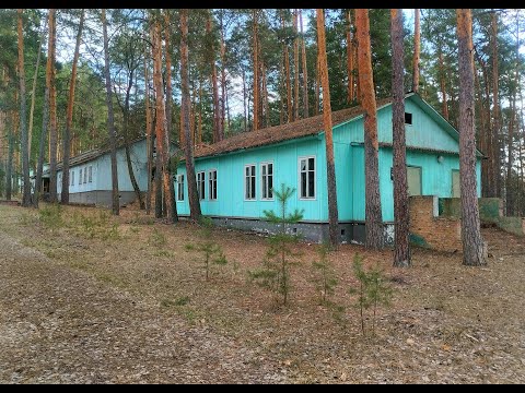 Видео: СЮДА ПРИЕЗЖАЛИ СО ВСЕГО СССР. ЗАБРОШЕННЫЙ ЛАГЕРЬ в Пензенских лесах