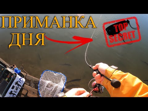 Видео: Любимая приманка форели в Бисерово, вот это клёв!