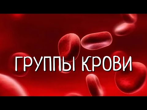 Видео: ГРУППЫ КРОВИ