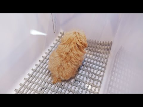 Видео: Хочешь обниму?