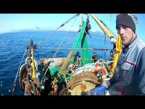 Видео: Работа на РС-300