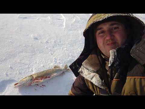 Видео: РЫБАЛКА В ОДНОГО ТАМ ГДЕ ВОЛКИ ВОЮТ. ЧАСТЬ 3.