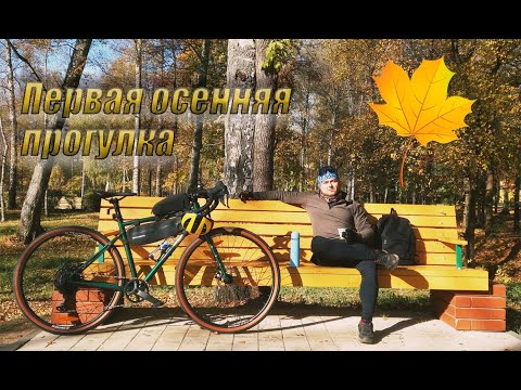 Видео: Первая осенняя прогулка 2024