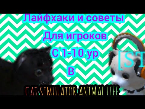 Видео: Советы и лайфхаки для игроков с 1-10 ур в Cat simulator animal life)