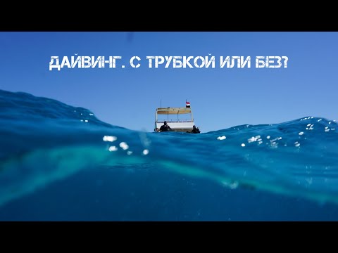 Видео: Дайвинг. С трубкой или без?