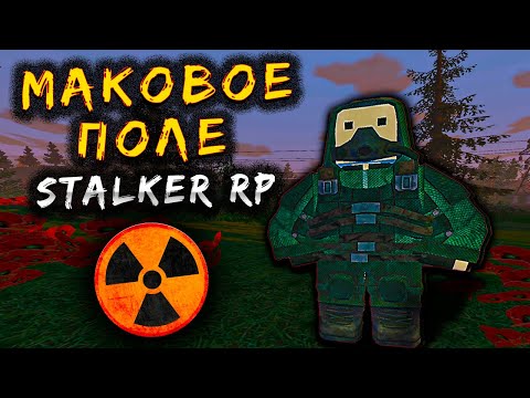 Видео: Вылазка на МАКОВОЕ ПОЛЕ В STALKER RP | LAST CHANCE STALKER RP