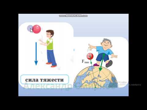 Видео: Урок Естествознания № 23 во 2 классе по теме: Почему предметы двигаются?