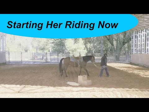 Видео: Не только вождение. И верховая езда тоже.