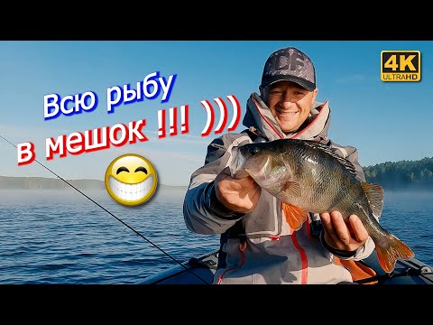 Видео: Если каждый раз забирать всю рыбу. Рыбалка на спиннинг в сентябре 2023