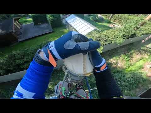 Видео: Расчистка участка | Спил деревьев | Удаление пней | Makita UC004 