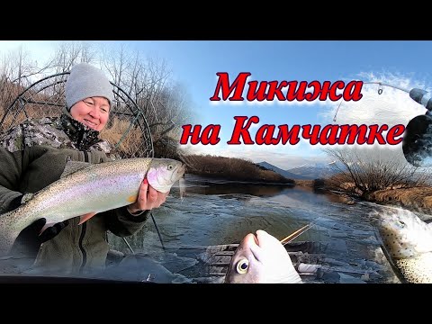 Видео: Рыбалка на Камчатке  Отменный клев рыбы и красавицы-микижи